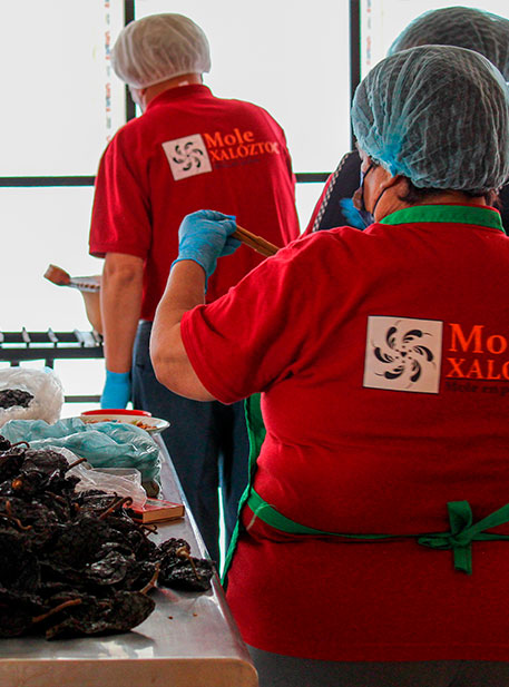 mole en polvo poblano